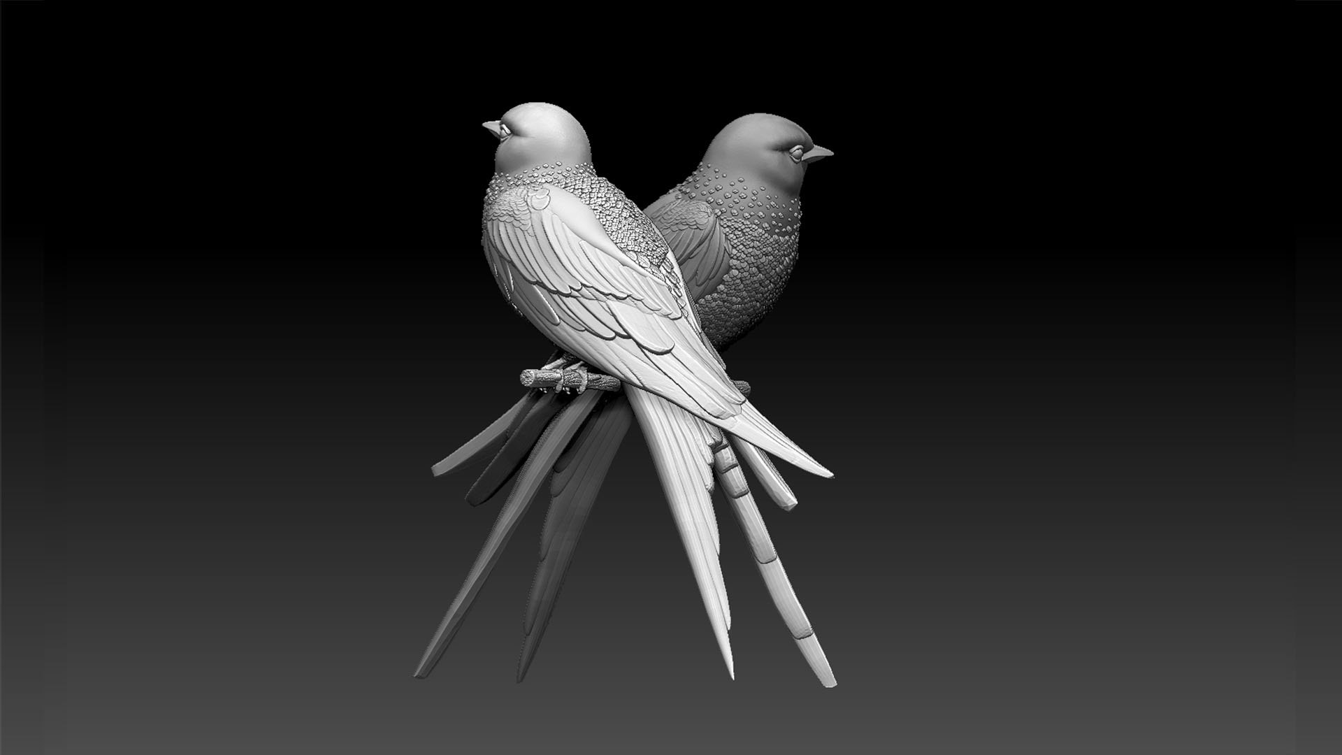 3D Swallow Model - TurboSquid 1957579