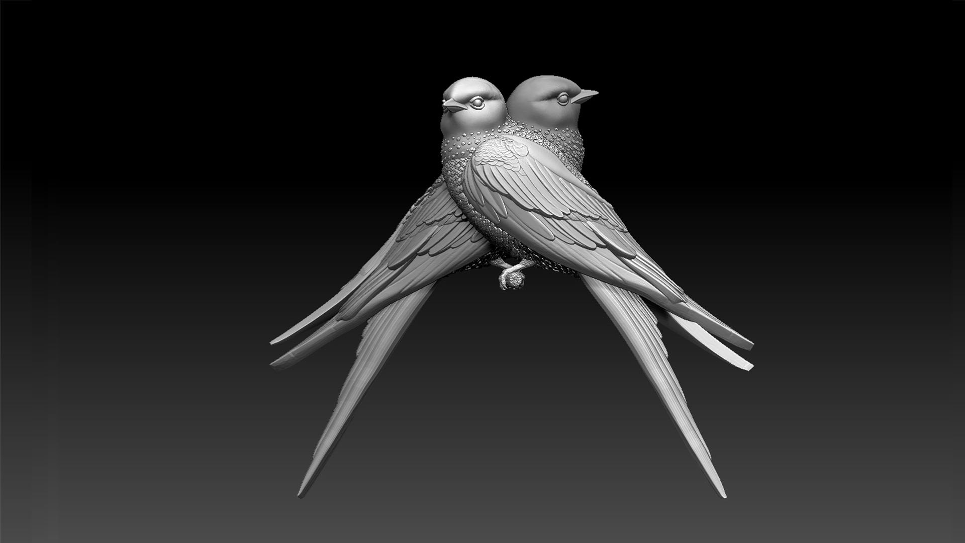 3D Swallow Model - TurboSquid 1957579