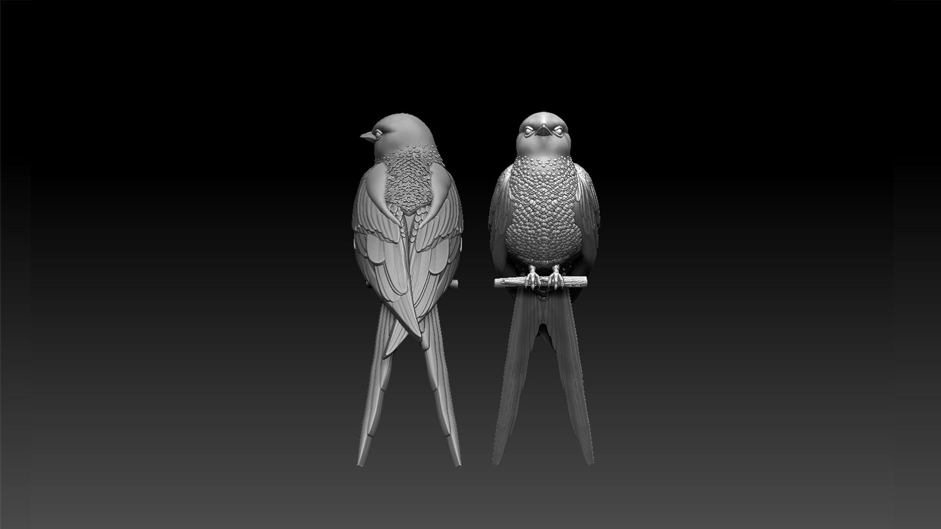 3D Swallow Model - TurboSquid 1957579