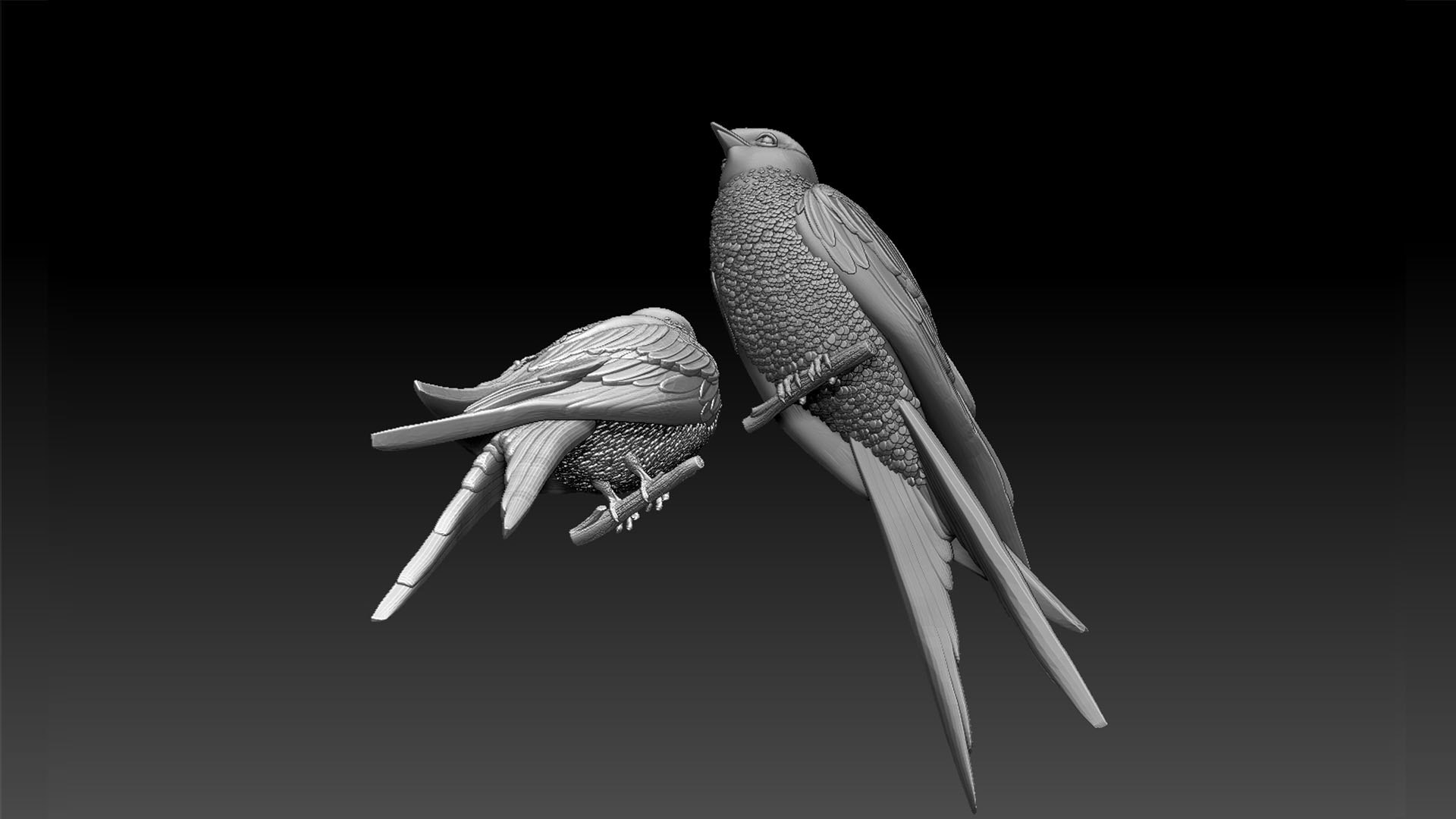 3D Swallow Model - TurboSquid 1957579