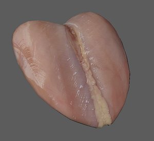 3D chicken breast