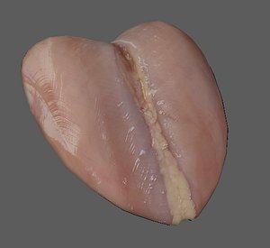 chicken breast