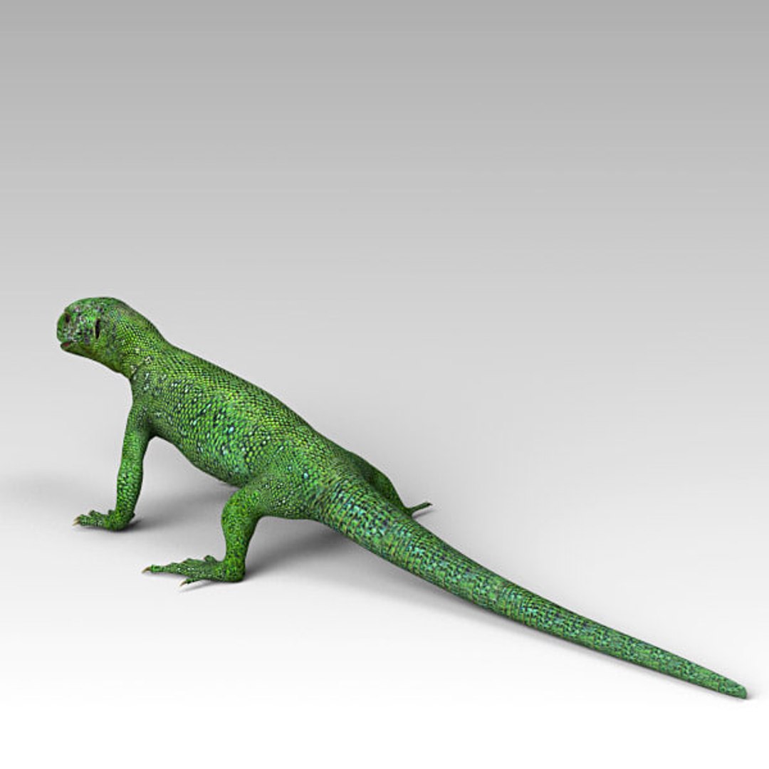 Green Lizard Bat 3D Model - TurboSquid 1337347