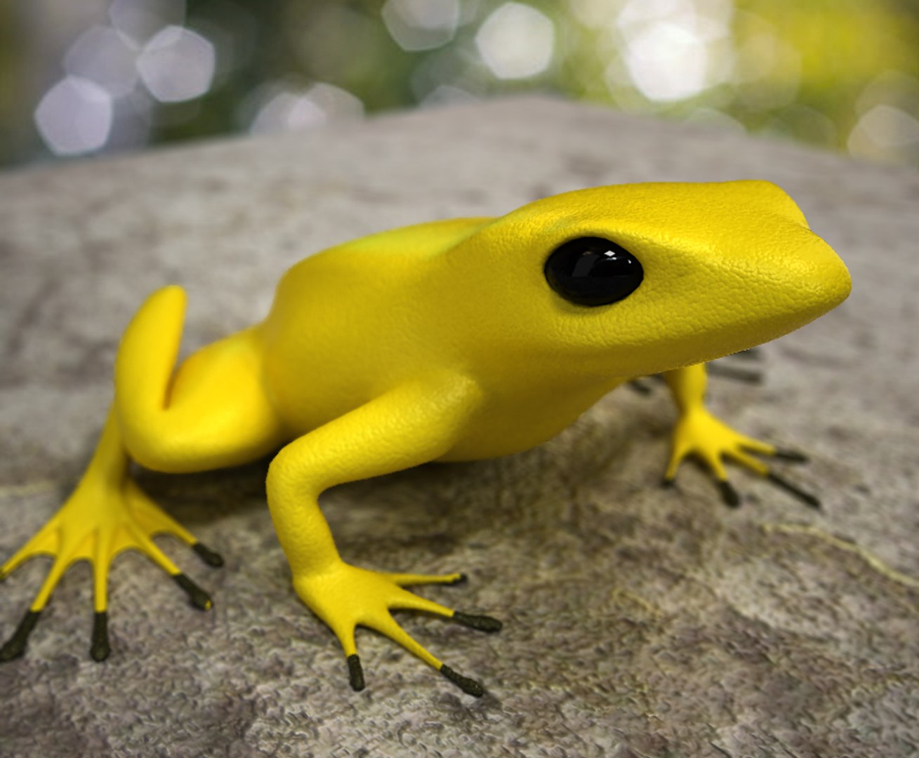 3d model poison dart frog https://p.turbosquid.com/ts-thumb/AI/fSrYlQ/9olOexeE/poisondartc1/jpg/1252482442/1920x1080/fit_q87/a8d0ada8de7f5eda54e3364d5cb437f742e00710/poisondartc1.jpg