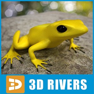 Poison dart frog 03 by 3DRivers