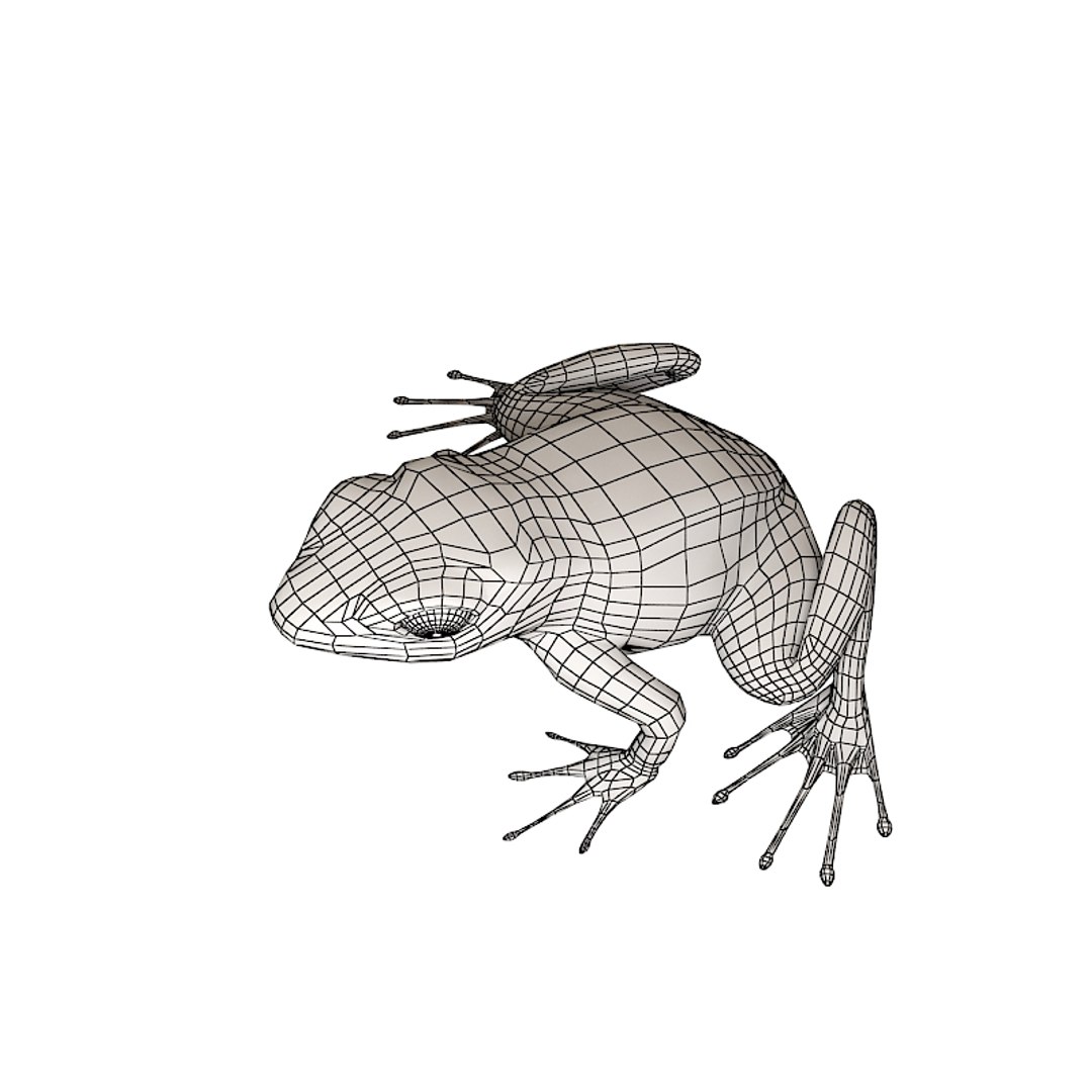 3d model poison dart frog https://p.turbosquid.com/ts-thumb/AI/fSrYlQ/lfzVfBMM/poisondartfroggreenw01/jpg/1252482459/1920x1080/fit_q87/78e05775bbddf7ca2322f17a65811c9c91a2ecff/poisondartfroggreenw01.jpg