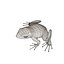 Poison dart frog 03 by 3DRivers