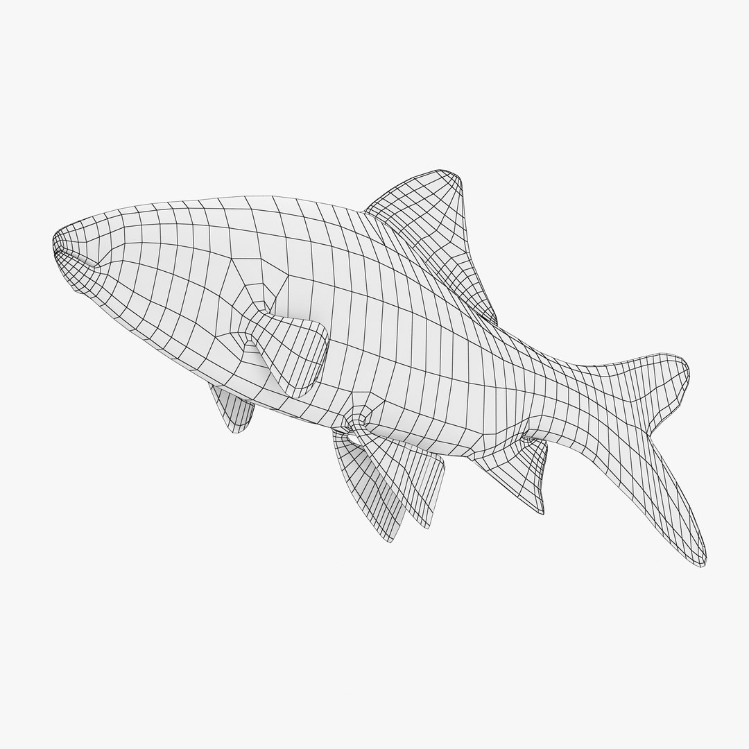3ds tiger barb https://p.turbosquid.com/ts-thumb/AI/pE3m16/MjxCAOcf/tigerbarb2_r2w/jpg/1472269182/1920x1080/fit_q87/7a27de3ecc560345dc74f8d5da987371aa4d6eaa/tigerbarb2_r2w.jpg