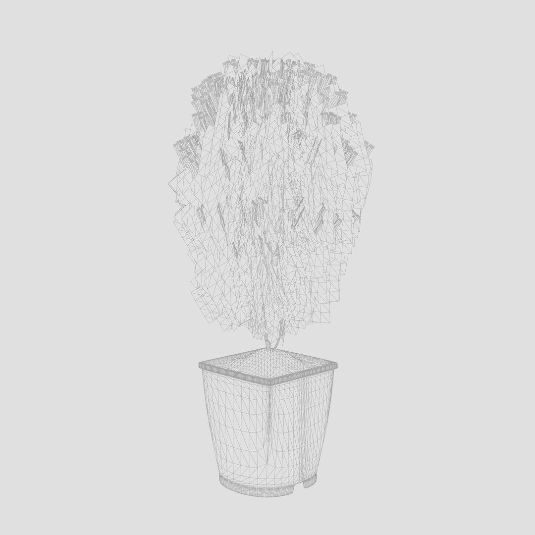 3D Thuja Occidentalis Little Giant - TurboSquid 2252535