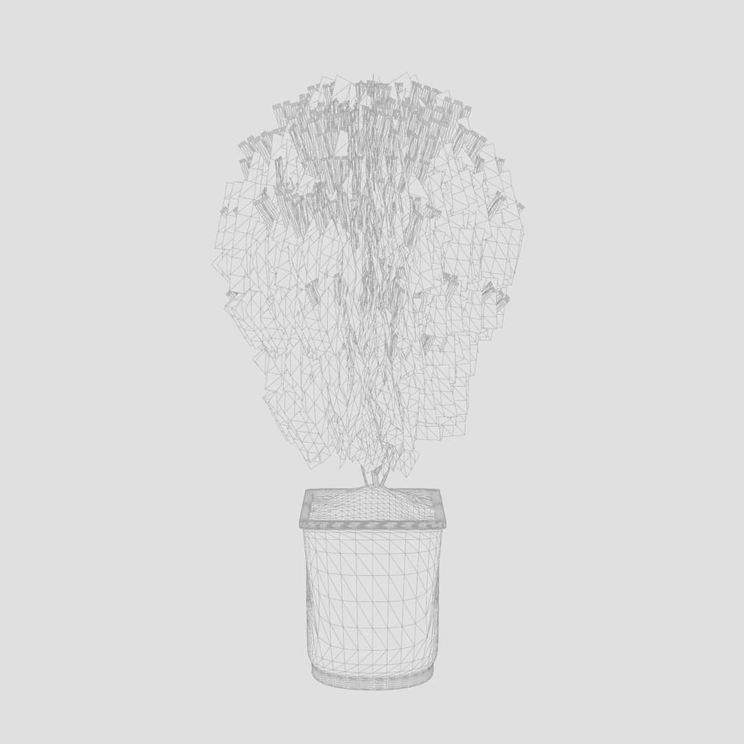 3D Thuja Occidentalis Little Giant - TurboSquid 2252535