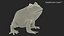 Realistic Horned Toad Rigged