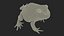 Realistic Horned Toad Rigged