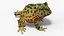 Realistic Horned Toad Rigged