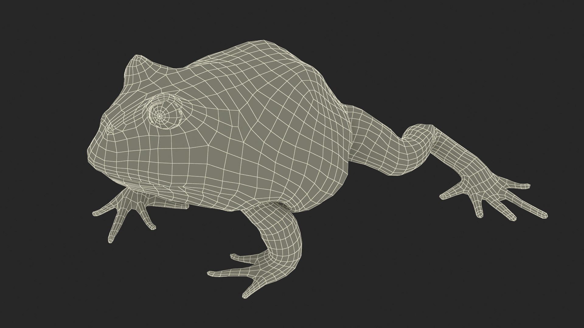 3D Realistic Horned Toad Rigged https://p.turbosquid.com/ts-thumb/AI/sxQOdB/Wp/realistic_horned_toad_rigged_019/jpg/1731538954/1920x1080/fit_q87/d4d5e89a96a4f788dff1af41ff6e439c8183ece7/realistic_horned_toad_rigged_019.jpg