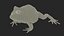 Realistic Horned Toad Rigged