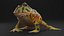 Realistic Horned Toad Rigged
