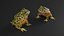 Realistic Horned Toad Rigged