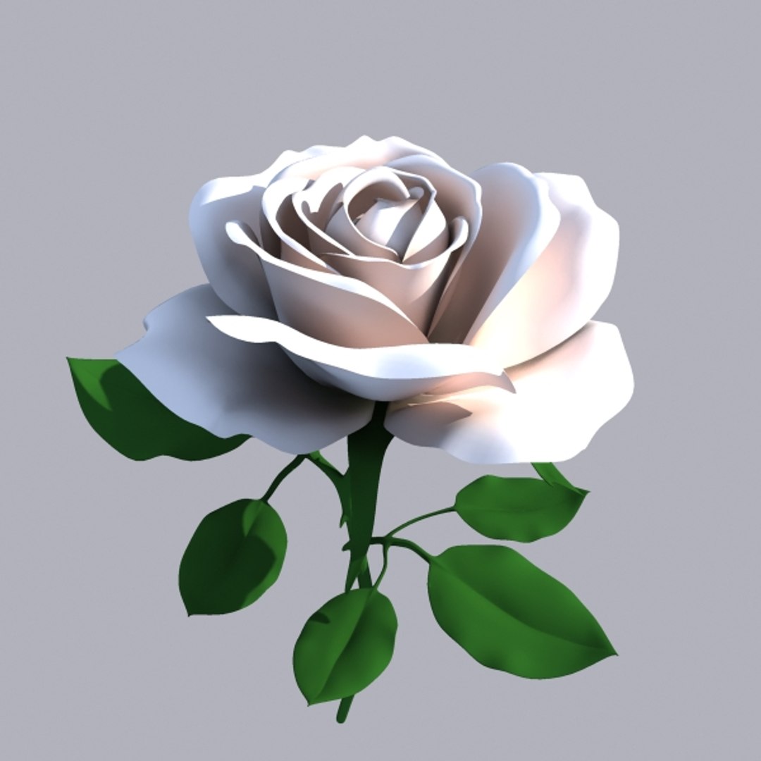 3d rose flower model