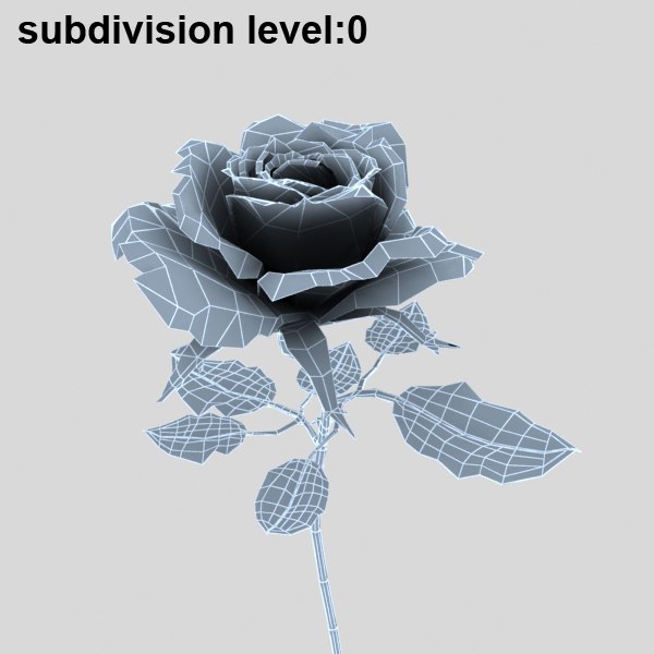 3d rose flower model