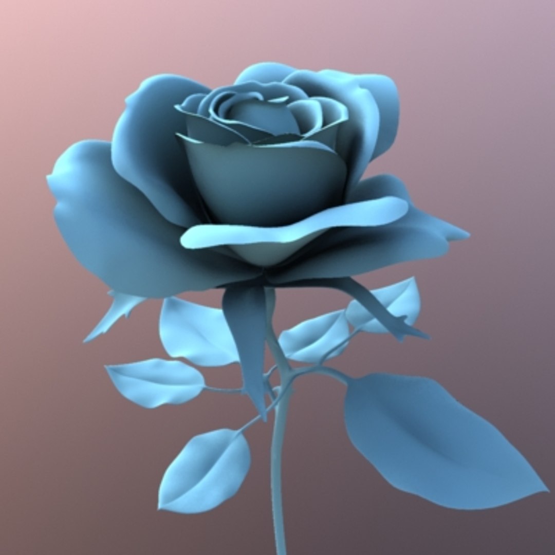 3d rose flower model