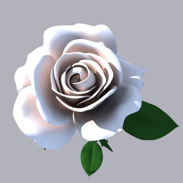 3d rose flower model