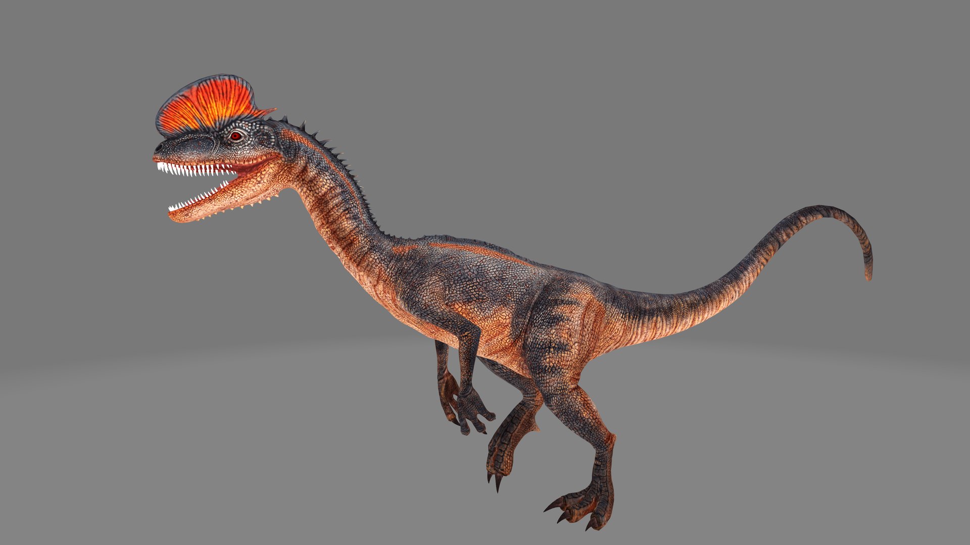 Dilophosaurus Dinosaur 3D - TurboSquid 1987520