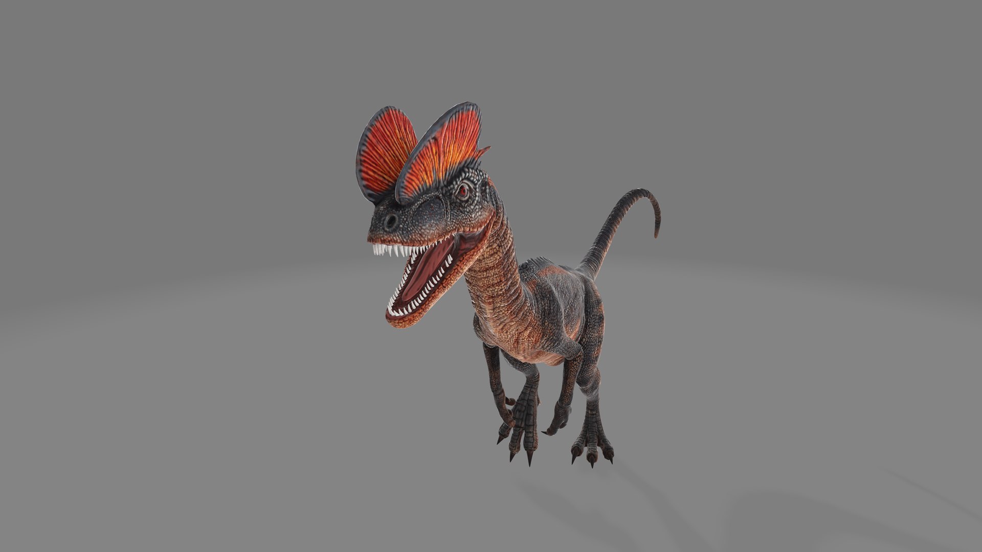 Dilophosaurus Dinosaur 3D - TurboSquid 1987520