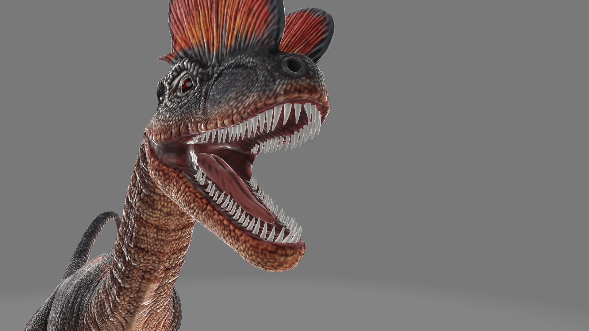 Dilophosaurus Dinosaur 3D - TurboSquid 1987520
