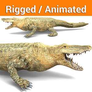 crocodile Rigged & animated