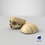 human skull cranial 02 3D model