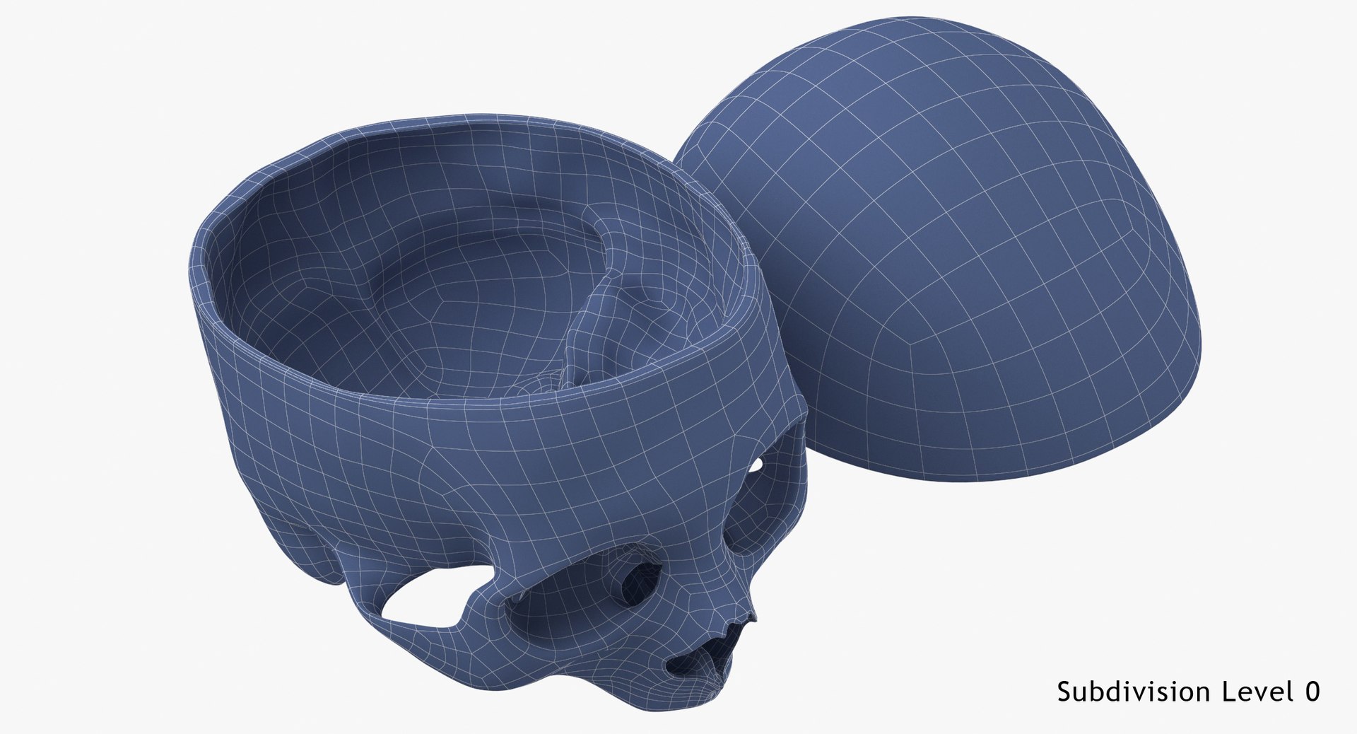 Human skull cranial 02 3D model - TurboSquid 1572058