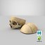 human skull cranial 02 3D model