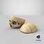 human skull cranial 02 3D model
