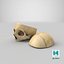 human skull cranial 02 3D model
