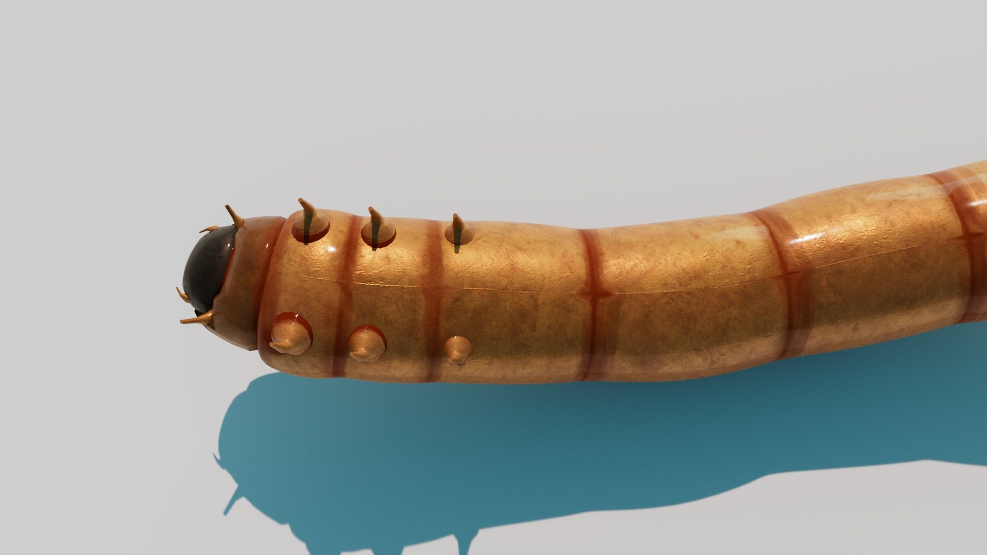 3D model Realistic Maggot Rigged 3D Model https://p.turbosquid.com/ts-thumb/AJ/GiC2zU/IV/reddner_04/jpg/1751557472/1920x1080/fit_q87/18de3156cb372626fe8c00d9e5ddd21519f8dbff/reddner_04.jpg
