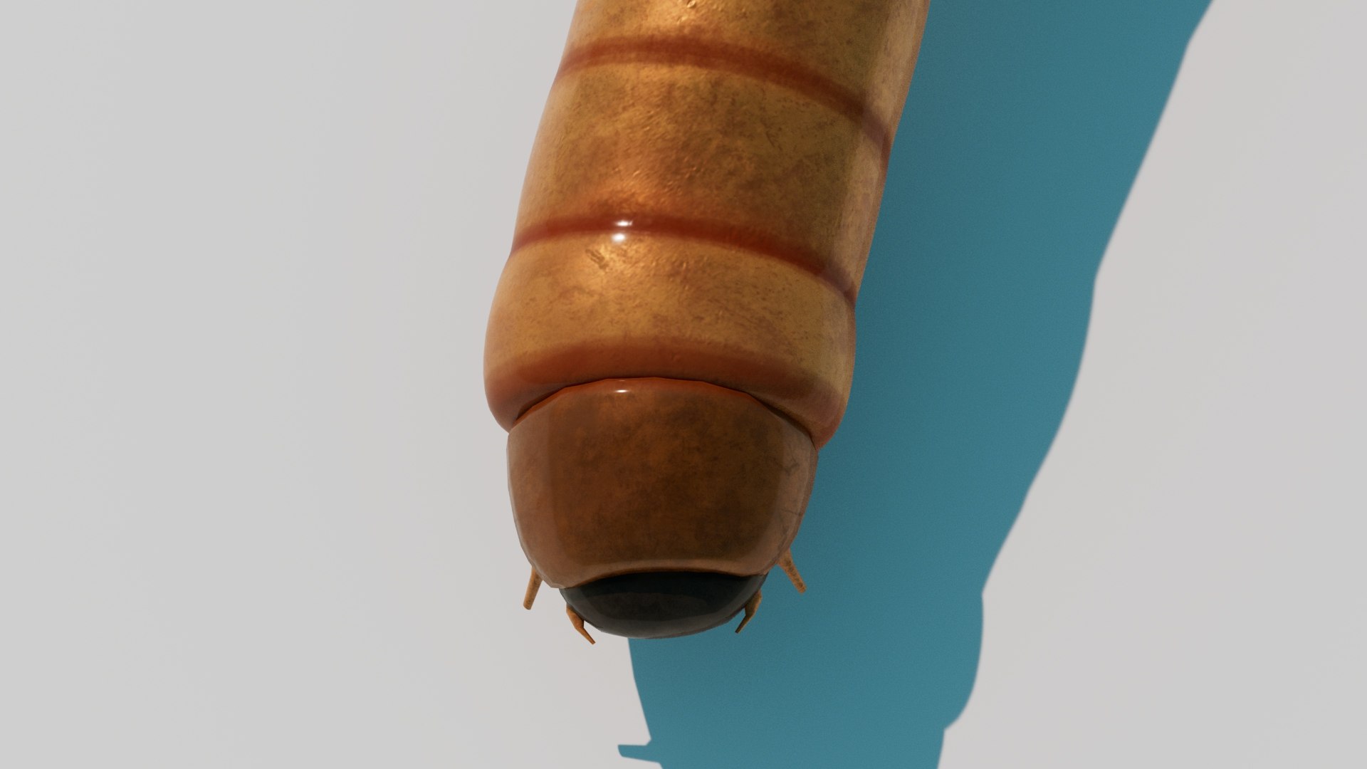 3D model Realistic Maggot Rigged 3D Model https://p.turbosquid.com/ts-thumb/AJ/GiC2zU/TW/reddner_03/jpg/1751557472/1920x1080/fit_q87/eca63265ea4f16eb1eacdc7495a481b7d267d9ca/reddner_03.jpg