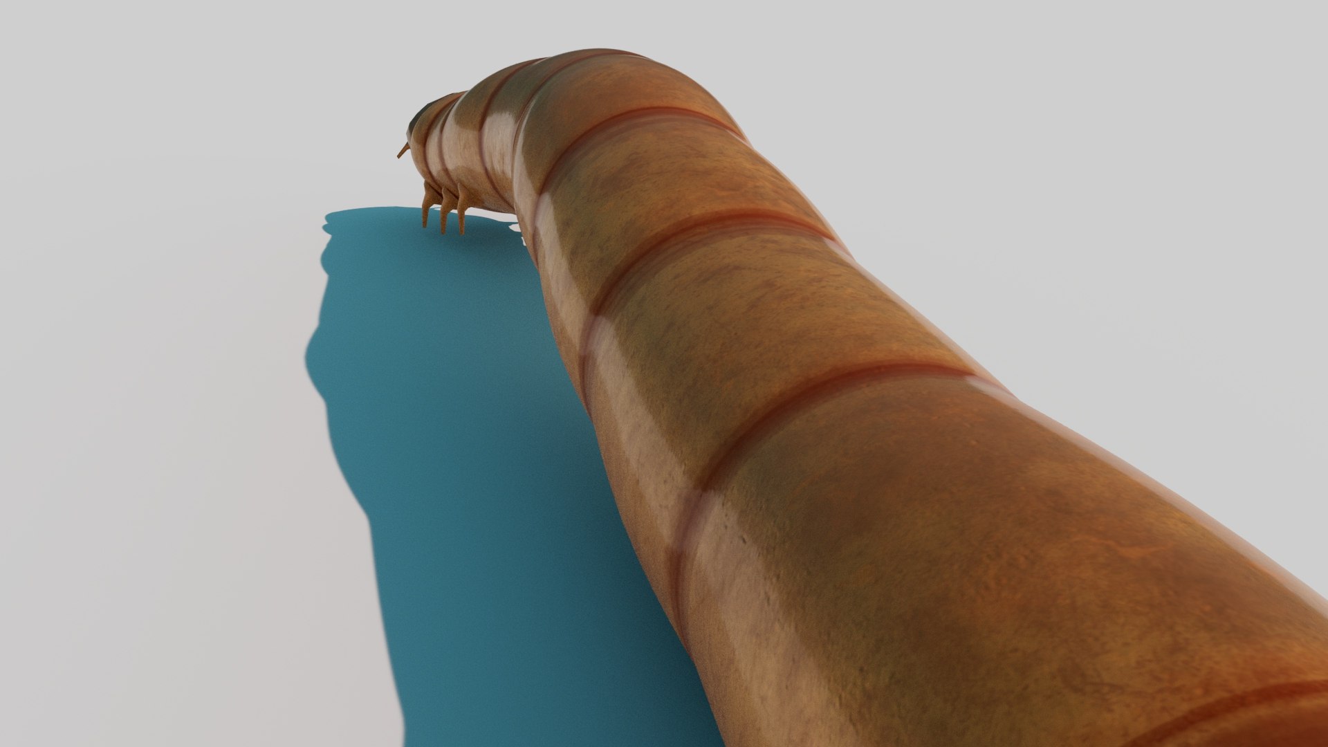 3D model Realistic Maggot Rigged 3D Model https://p.turbosquid.com/ts-thumb/AJ/GiC2zU/lO/reddner_02/jpg/1751557471/1920x1080/fit_q87/d042341596a70cb50664c0bd6fd4ae344f09a55c/reddner_02.jpg