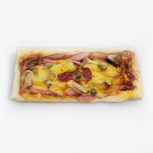 3D pizza food