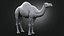Dromedary 静态 Xgen-core