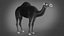 Dromedary 静态 Xgen-core