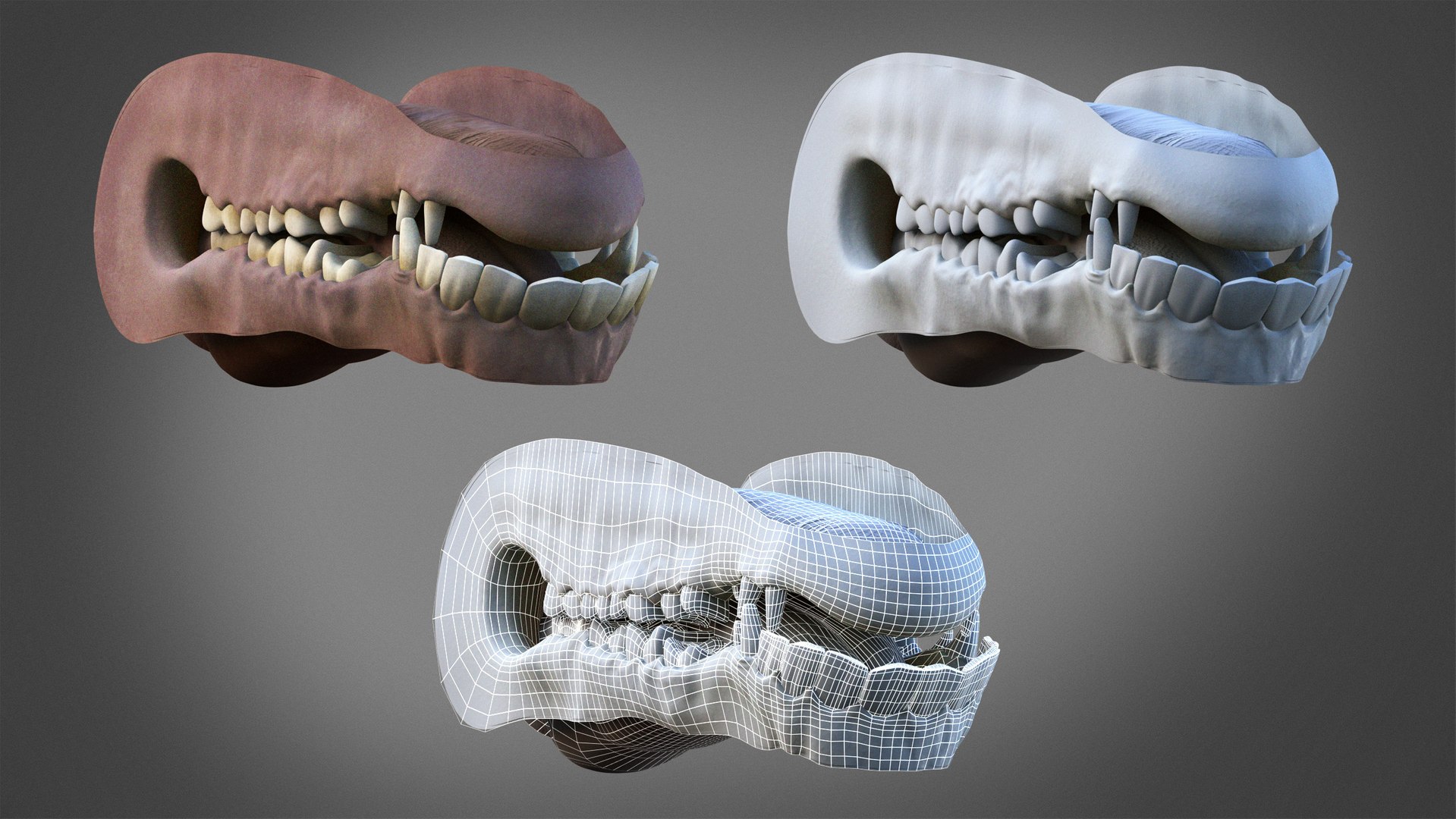 3D model Dromedary Static Xgen-core https://p.turbosquid.com/ts-thumb/AJ/U9j4kX/jQ/07/jpg/1740453942/1920x1080/fit_q87/d32480097102bb5216bb03c2ef4f7f147287769c/07.jpg