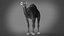 Dromedary 静态 Xgen-core