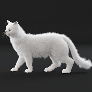 hair fur 3D model