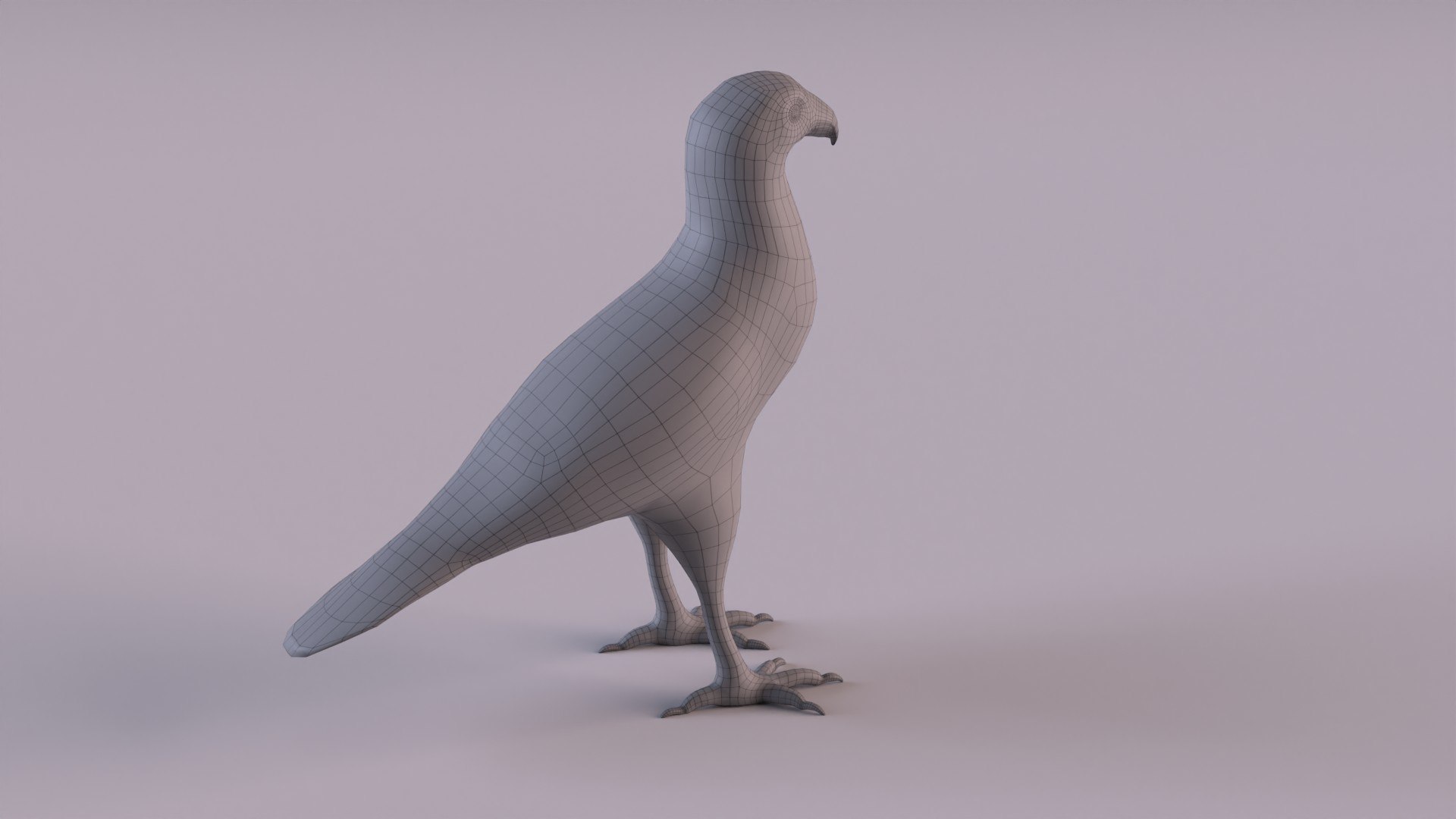 caracara crested 3D model https://p.turbosquid.com/ts-thumb/AJ/sdpmlp/TT/caracaraw_0002/jpg/1650304772/1920x1080/fit_q87/ff336eb63121e639973a8fee416bcfd03dc7e85a/caracaraw_0002.jpg