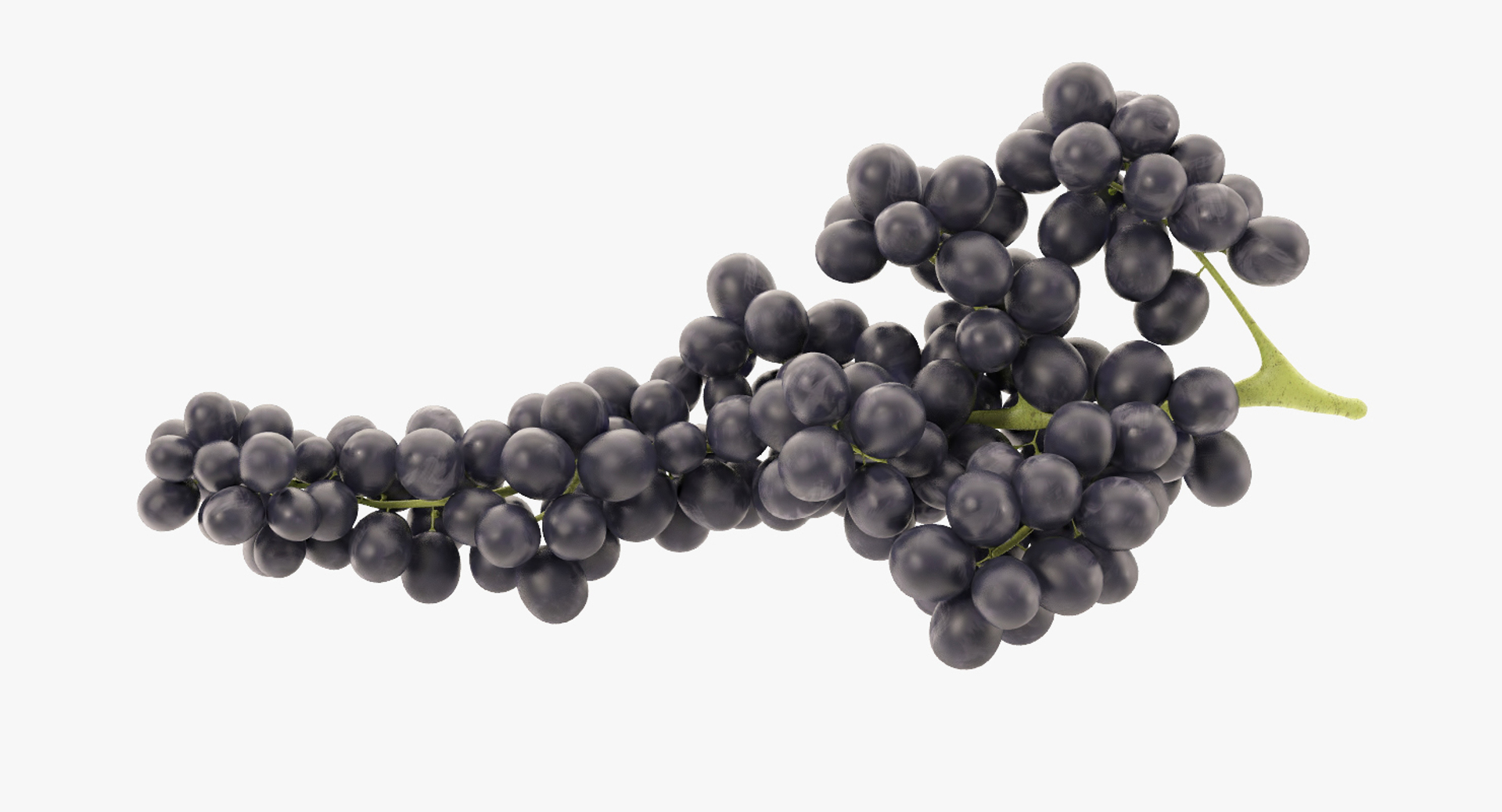 3d grapes green black https://p.turbosquid.com/ts-thumb/AJ/uerURa/IPeAkwic/grape/jpg/1442553211/1920x1080/turn_fit_q99/3233d9bf1001e17a207a833f18861db2e357fa88/grape-1.jpg