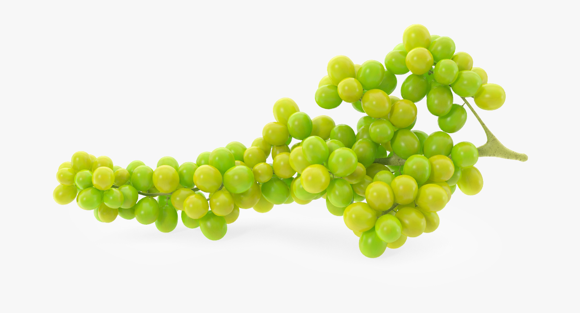 3d grapes green black https://p.turbosquid.com/ts-thumb/AJ/uerURa/MPNmUMgn/greengrape/jpg/1442553942/1920x1080/turn_fit_q99/a39eb090af5f5190d8c80a701dccdc9c85a8dfe4/greengrape-1.jpg