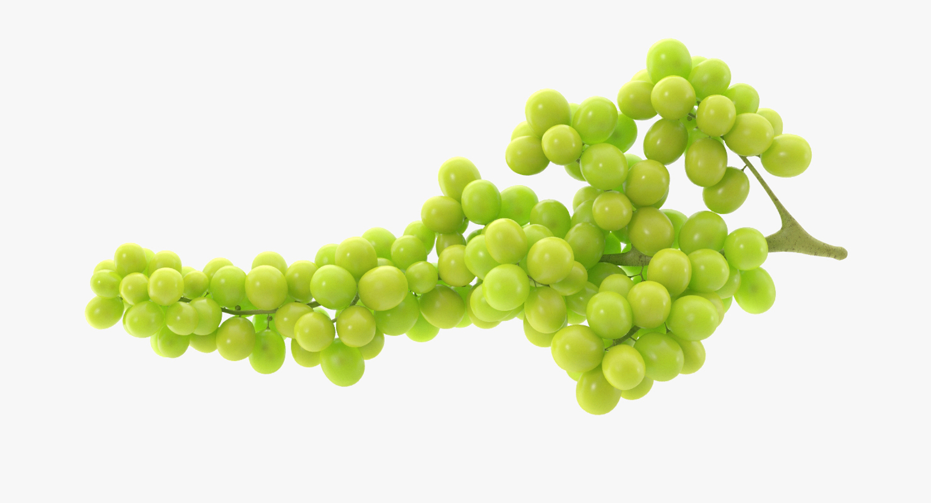 3d grapes green black https://p.turbosquid.com/ts-thumb/AJ/uerURa/eltxBUSL/grapegreenr/jpg/1442556470/1920x1080/turn_fit_q99/5217a1e4a3e05f78dd4d39c750e57303df2dd39b/grapegreenr-1.jpg
