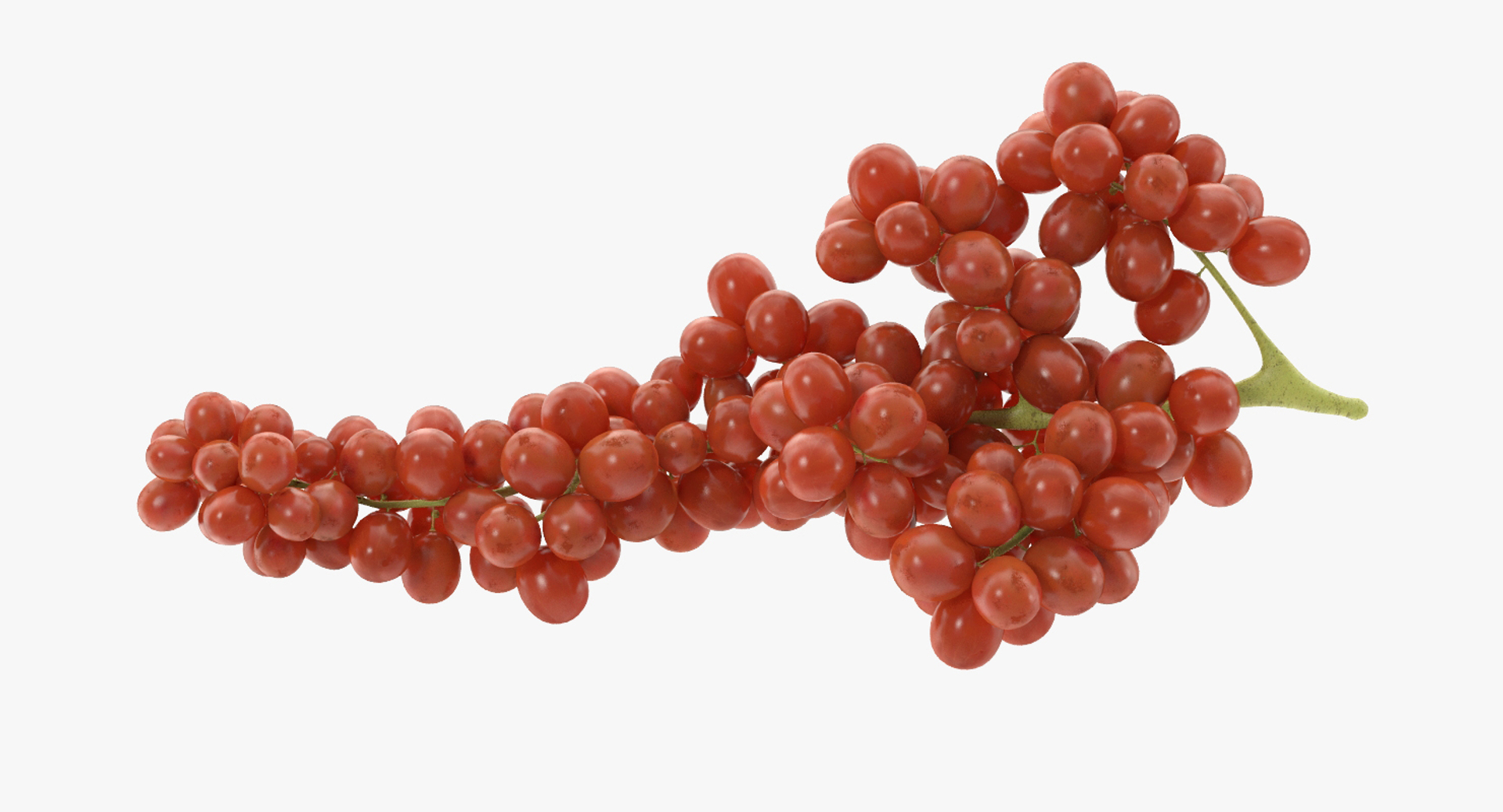 3d grapes green black https://p.turbosquid.com/ts-thumb/AJ/uerURa/nAswMEl0/redgrape/jpg/1442554507/1920x1080/turn_fit_q99/f7d9051655c3c9edf8e87b9dafc3ddf46597be50/redgrape-1.jpg
