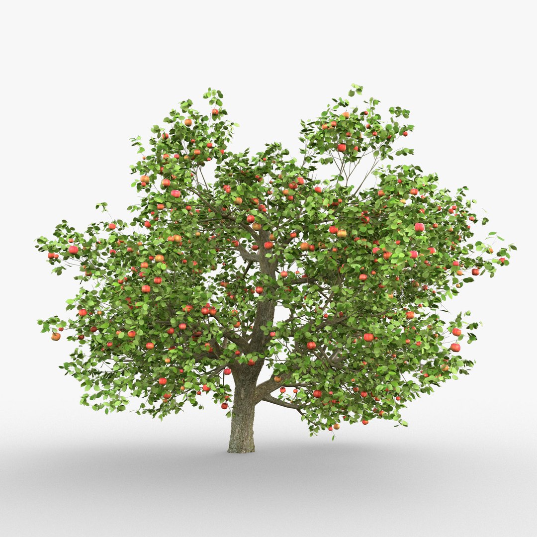 Tree apple model - TurboSquid 1156084