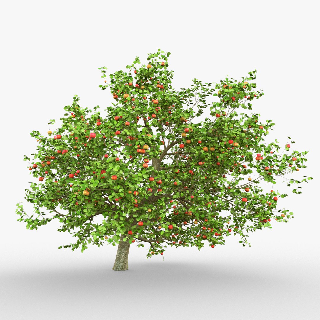 Tree apple model - TurboSquid 1156084